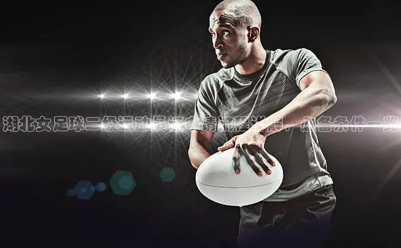 6688体育平台网页人口猫眼湖北女足球二级运动员证申请流程详解，必备条件一览