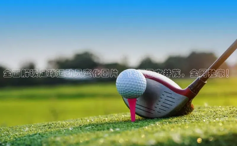 6688体育网页版美团全面解读足球运动员变化图片，详细图文并茂，全网独家！