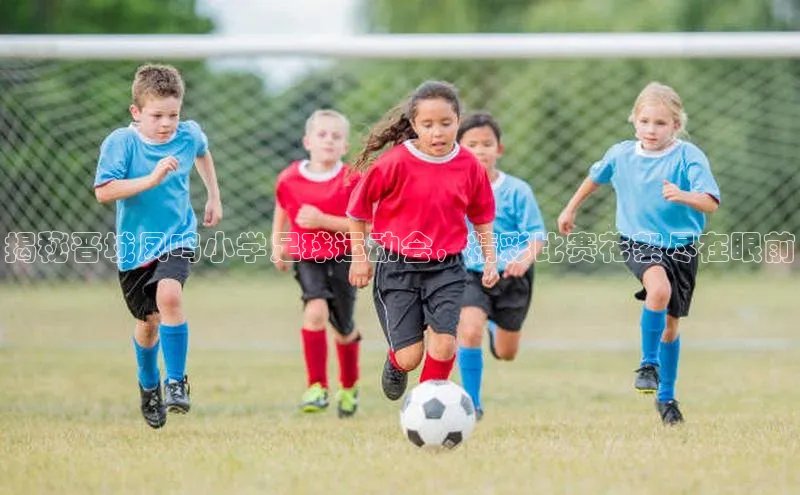6688体育平台网页下载小红书揭秘晋城凤鸣小学足球运动会，精彩比赛花絮尽在眼前