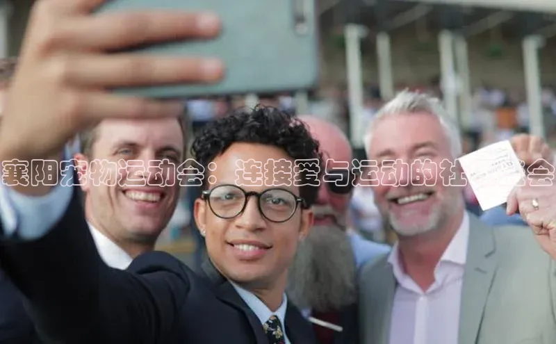 6688体育平台文心一言襄阳宠物运动会：连接爱与运动的社区盛会