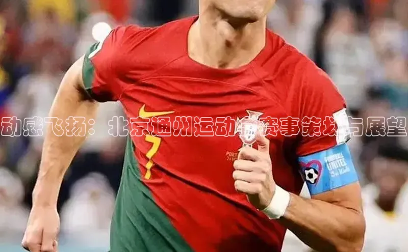 动感飞扬：北京通州运动会赛事策划与展望