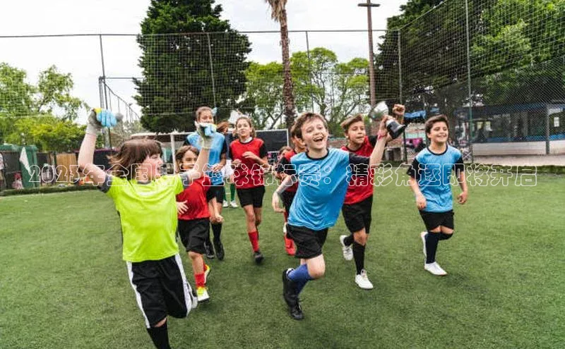 2023年全国男子篮球锦标赛：精彩角逐即将开启