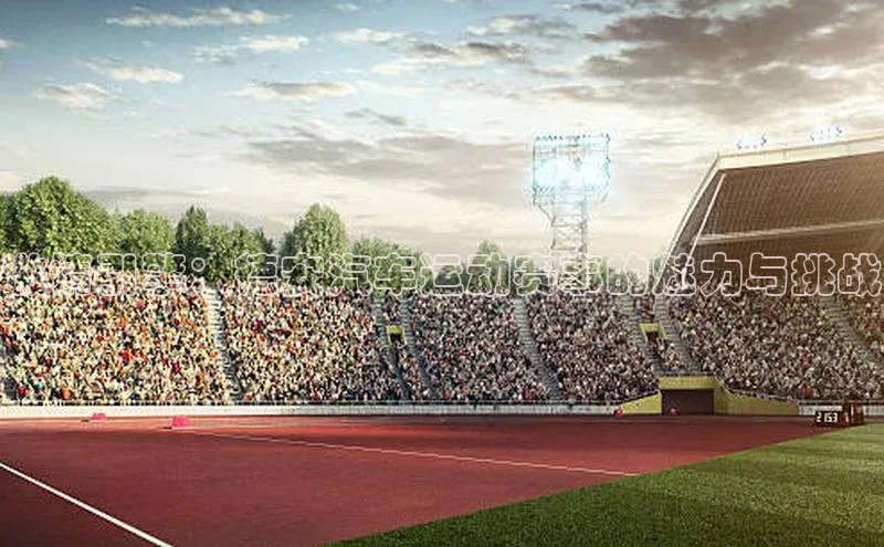 激情引擎：德安汽车运动赛事的魅力与挑战