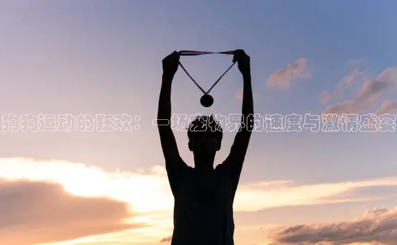 狗狗运动的狂欢：一场宠物界的速度与激情盛宴