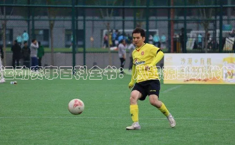 运动赛事百科全书：从起源到现代的