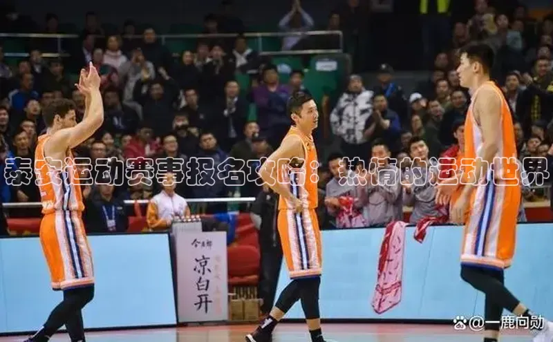 泰安运动赛事报名攻略：热情的运动世界