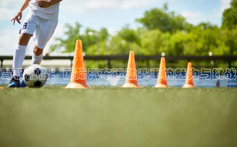 驾驭激情：国际汽车运动赛事的魅力与挑战