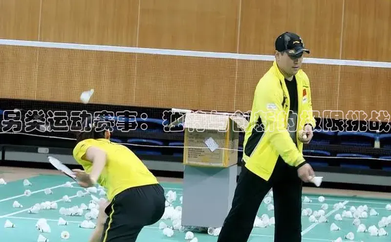 6688体育app最新版