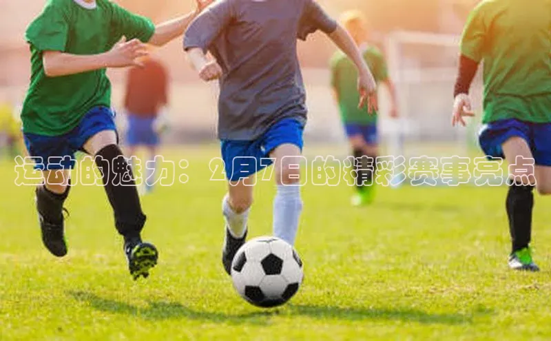 6688官方网站入口登录最新版