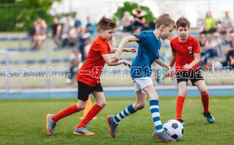 6688体育线上登录