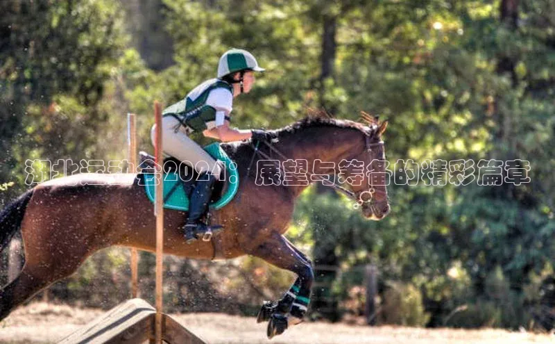 湖北运动会2024：展望与筹备的精彩篇章